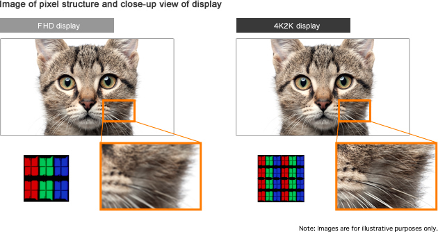 Image of pixel structure and close-up view of display